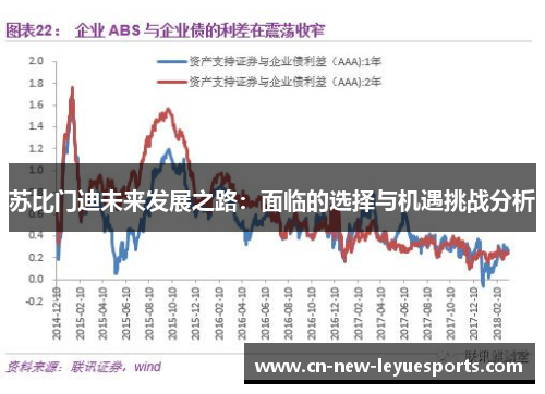 苏比门迪未来发展之路:面临的选择与机遇挑战分析