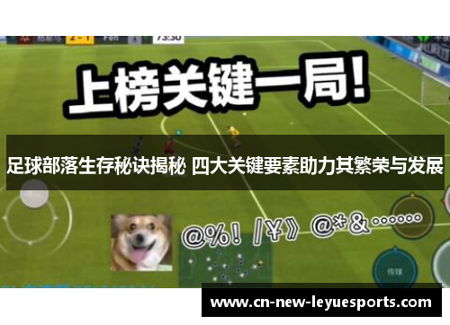 足球部落生存秘诀揭秘 四大关键要素助力其繁荣与发展 足球部落生存秘诀揭秘 四大关键要素助力其繁荣与发展