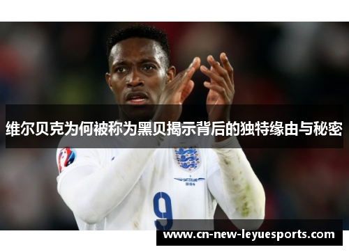 维尔贝克为何被称为黑贝揭示背后的独特缘由与秘密 维尔贝克为何被称为黑贝揭示背后的独特缘由与秘密