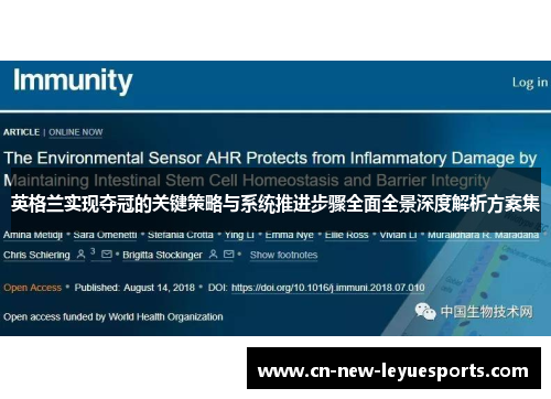 英格兰实现夺冠的关键策略与系统推进步骤全面全景深度解析方案集 英格兰实现夺冠的关键策略与系统推进步骤全面全景深度解析方案集