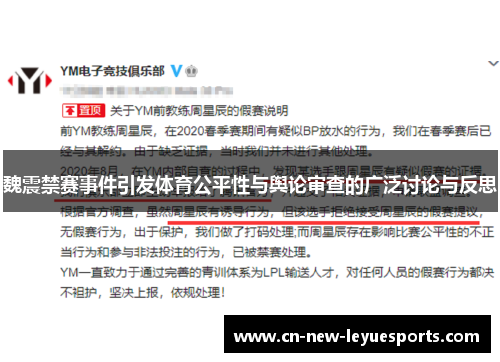 魏震禁赛事件引发体育公平性与舆论审查的广泛讨论与反思 魏震禁赛事件引发体育公平性与舆论审查的广泛讨论与反思