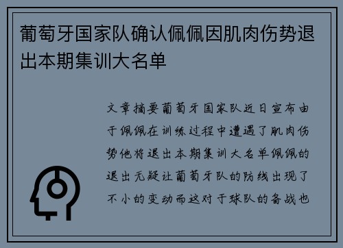 葡萄牙国家队确认佩佩因肌肉伤势退出本期集训大名单